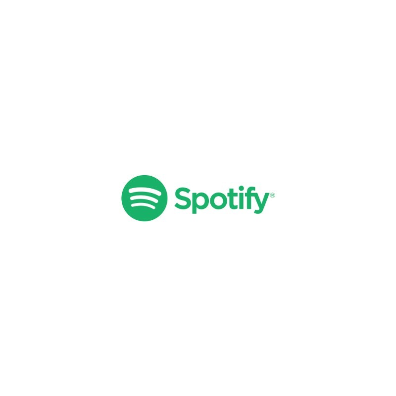Logo Spotify (cercle vert avec 3 courbes vertes formant une onde (comme le Wi-fi)). À droite du logo, il est écrit Spotify en vert.